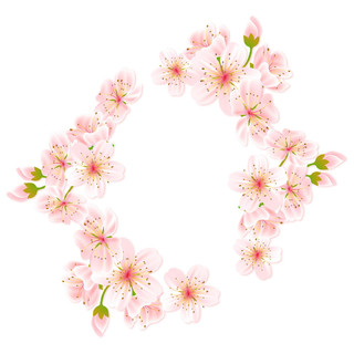 唯美日本樱花花朵花瓣花卉清新矢量元素